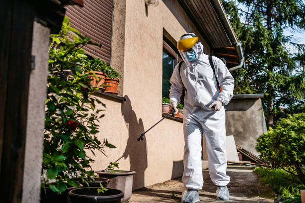 Pest Prevention Services in Tangent, OR